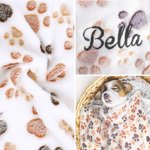 Personalisierte Pfote drucken weiche Fleece Haustier Decke mit gestickten Namen Home Decor Geburtstagsgeschenk für Tierbesitzer