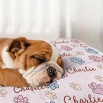 Henkilökohtainen tassunjäljet pehmeä lemmikkieläinten sängyn matto nimellä Ulkoilutoiminta Pet Party syntymäpäivälahja lemmikkieläinten omistajille ystäville