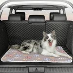 Henkilökohtainen tassunjäljet pehmeä lemmikkieläinten sängyn matto nimellä Ulkoilutoiminta Pet Party syntymäpäivälahja lemmikkieläinten omistajille ystäville