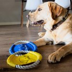 Personalized Cute Line Style Dog Multicolor Waterproof Dog Flying Disc with Name Outdoor Dog Toy Birthday Gift for Pet Owners