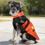 Personalized Red Heart Paw Print Winter Coat Dog Jacket with Pet Name for Cold Weather Outdoor Activities Christmas Gift for Pet Owners