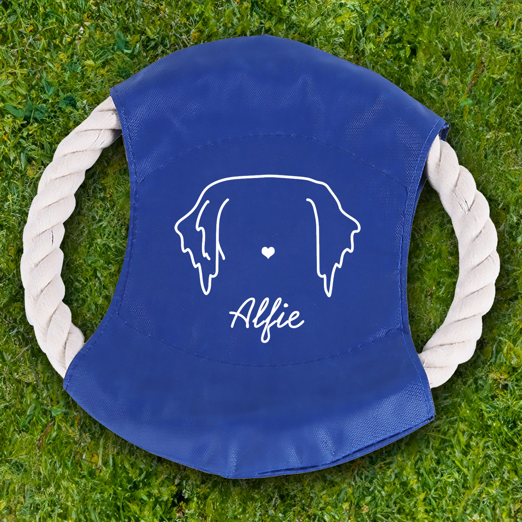 Disque volant multicolore imperméable pour chien avec nom Jouet d'extérieur pour chien Cadeau d'anniversaire pour les propriétaires d'animaux de compagnie