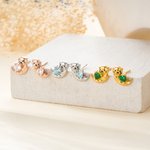 Personalised Sterling Silver Otter Heart Birthstone Stud Earrings Birthday Christmas Gift for Women Otter Lovers