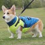 Personalized Red Heart Paw Print Winter Coat Dog Jacket with Pet Name for Cold Weather Outdoor Activities Christmas Gift for Pet Owners