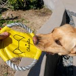 Personalized Cute Line Style Dog Multicolor Waterproof Dog Flying Disc with Name Outdoor Dog Toy Birthday Gift for Pet Owners