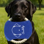 Personalized Cute Line Style Dog Multicolor Waterproof Dog Flying Disc with Name Outdoor Dog Toy Birthday Gift for Pet Owners