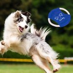 Personalized Cute Line Style Dog Multicolor Waterproof Dog Flying Disc with Name Outdoor Dog Toy Birthday Gift for Pet Owners