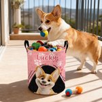 Personalised 3D Cartoon Dog Paws Collapsible Large Capacity Laundry Storage Basket with Name Pet Birthday Housewarming Gift for Pet Owners