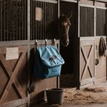 Personalised Horse Silhouette Waterproof Large Capacity Hanging Horse Blanket Bag with Name Equestrian Gift for Horse Lovers