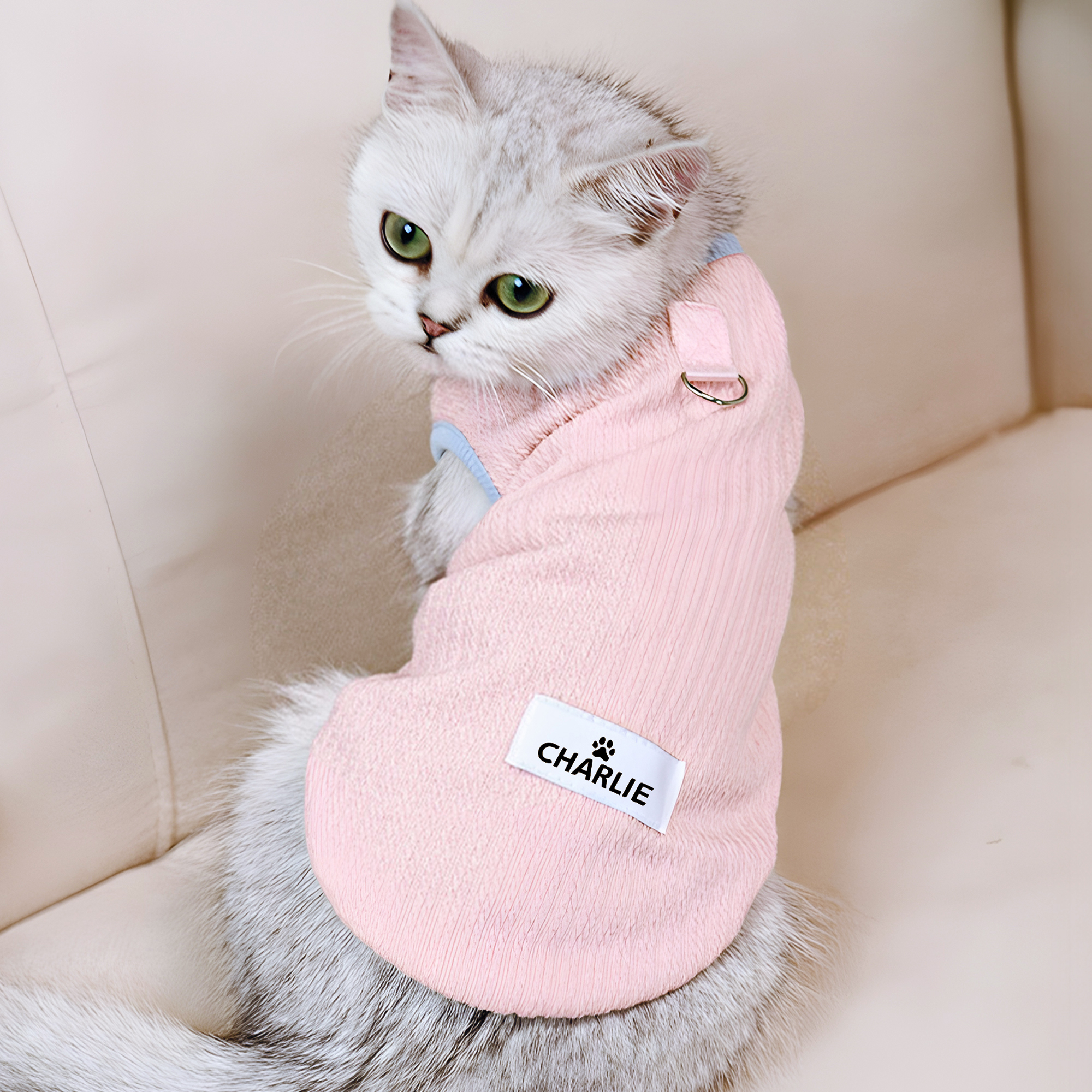 Gilet chaud avec nom pour animaux de compagnie Cadeau d'anniversaire pour chien, chat et propriétaires d'animaux de compagnie
