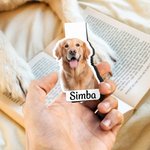 Marcapáginas magnético personalizado con foto y nombre regalo de cumpleaños o vuelta al cole para lectores y amantes de los libros