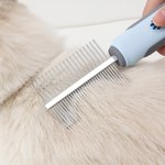 Henkilökohtainen Paw Print Fish Bone Pet Double Row Comb kanssa nimi Pet Salon syntymäpäivälahja lemmikkieläinten omistajille