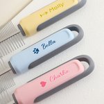 Henkilökohtainen Paw Print Fish Bone Pet Double Row Comb kanssa nimi Pet Salon syntymäpäivälahja lemmikkieläinten omistajille