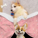 Personalised Cute 3D Cartoon Dog Multicolor Soft Throw Pet Blanket with Name Pet Birthday Adoption Anniversary Gift for Pet Lovers Owners