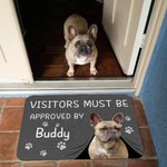 Paillasson personnalisé sur le thème de l'animal de compagnie avec nom et 1-3 photos Cadeau d'anniversaire pour les amoureux des animaux de compagnie