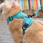 Harnais de poitrail en maille pour animaux de compagnie avec nom et corde de traction Cadeau d'anniversaire pour les propriétaires d'animaux de compagnie