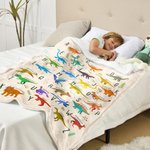 Personalized Multicolor Cartoon Dinosaur Alphabet Soft Throw Blanket with Name Christmas Birthday Gift for Toddlers Kids