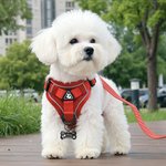 Harnais de poitrail en maille pour animaux de compagnie avec nom et corde de traction Cadeau d'anniversaire pour les propriétaires d'animaux de compagnie