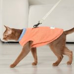 Henkilökohtainen Tassu Tulosta Star Bone Nimi Pet Plush Vest pitää lämpimänä Talvi Wear Pet Syntymäpäivä Hyväksyminen Vuosipäivä Joululahja lemmikkieläinten omistajille