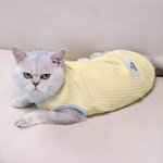 Personalized Cute Bone Star Design Warm Pet Vest with Name Pet Party Birthday Gift for Dog Cat Pet Owners