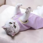 Personalized Cute Bone Star Design Warm Pet Vest with Name Pet Party Birthday Gift for Dog Cat Pet Owners