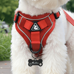 Harnais de poitrail en maille pour animaux de compagnie avec nom et corde de traction Cadeau d'anniversaire pour les propriétaires d'animaux de compagnie