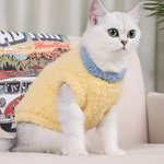 Henkilökohtainen Tassu Tulosta Star Bone Nimi Pet Plush Vest pitää lämpimänä Talvi Wear Pet Syntymäpäivä Hyväksyminen Vuosipäivä Joululahja lemmikkieläinten omistajille