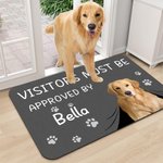 Paillasson personnalisé sur le thème de l'animal de compagnie avec nom et 1-3 photos Cadeau d'anniversaire pour les amoureux des animaux de compagnie