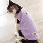 Personalized Cute Bone Star Design Warm Pet Vest with Name Pet Party Birthday Gift for Dog Cat Pet Owners