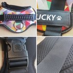 Henkilökohtainen sydän tassun tulosta luun muotoilu säädettävä heijastava koiran valjaat liivi nimi Pet osapuoli syntymäpäivälahja lemmikkieläinten ystäville omistajille