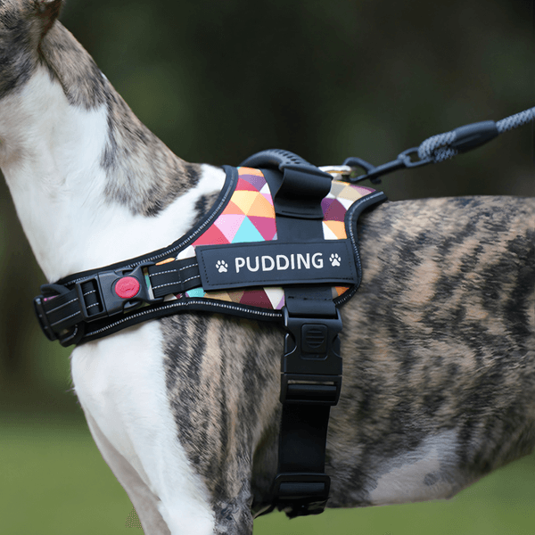 Personalized Heart Paw Print Bone Design Adjustable Reflective Dog Harness Vest with Name Pet Party Birthday Gift for Pet Lovers Owners