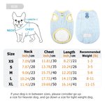 Personalized Cute Bone Star Design Warm Pet Vest with Name Pet Party Birthday Gift for Dog Cat Pet Owners
