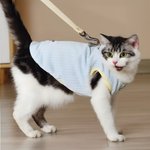 Personalized Cute Bone Star Design Warm Pet Vest with Name Pet Party Birthday Gift for Dog Cat Pet Owners