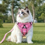 Harnais de poitrail en maille pour animaux de compagnie avec nom et corde de traction Cadeau d'anniversaire pour les propriétaires d'animaux de compagnie