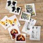 Pegatina de coche personalizada con retrato de mascota divertida y adorable resistente a la intemperie regalo de decoración para amantes de mascotas