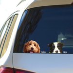 Pegatina de coche personalizada con retrato de mascota divertida y adorable resistente a la intemperie regalo de decoración para amantes de mascotas