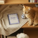 Personalised Toile De Jouy 1-7 Line Art Dogs Cats A5 Spiral Journal Notebook with Names Memorial Birthday Gift for Pet Owners Lovers