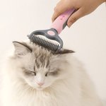 Personalized Heart Fish Bone Paw Print Pet Grooming Brush with Name Pet Supplies Daily Use Birthday Gift for Pet Owners