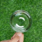 Tasse de thé botanique personnalisée avec nom Cadeau d'anniversaire pour les amateurs de jardinage