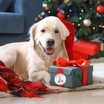 Personalized Santa Claus Gingerbread Man Waterproof Stickers with Name Christmas Festival Party Gift for Family Friends