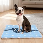 Personalized Paw Print Heart Icon Soft Pet Bed Mat with Name Outdoor Activities Birthday Christmas Gift for Pet Owners