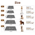 Personalized Paw Print Heart Icon Soft Pet Bed Mat with Name Outdoor Activities Birthday Christmas Gift for Pet Owners