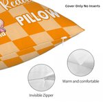 Personalized Checkerboard Cartoon Character Multicolor Soft Throw Pillow Cover with Name Home Decor Birthday Gift for Kids Family