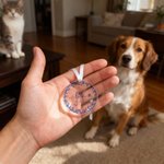 Personalized Toile De Jouy 1-7 Line Art Dogs Cats Christmas Ornament with Names Christmas Memorial Birthday Gift for Pet Owners Lovers