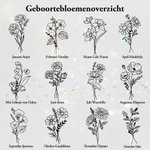 Gepersonaliseerde Ketting met Geboortebloem en Fotomedaillon Gegraveerde Naam Verjaardag- en Jubileumcadeau voor Dames