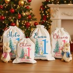 Personalized First Christmas Santa Claus Peter Rabbit Drawstring Canvas Gift Bag with Name Christmas Gift for Baby Family