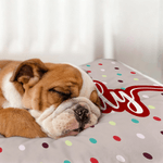 Personalized Cute Multicolor Polka Dot Soft Pet Bed Mat with Name Outdoor Activities Birthday Gift for Pet Owners Lovers