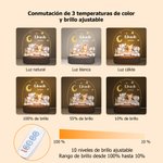 Luz nocturna LED personalizada de animales del bosque con base de madera y nombre decoración para habitación y regalo de cumpleaños para niños