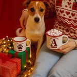 Personalised Dog Paw Initial Christmas Plaid 12 oz Multicolour Enamel Mug with Name Daily Use Christmas Gift for Kids