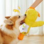 Personalized Cute Yellow Duck Soft Squeaky Plush Toy with Name for Teething Chewing Interactive Pet Supplies Birthday Anniversary Gift for Pet Lovers